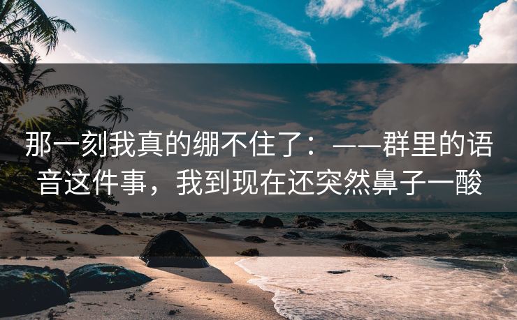 那一刻我真的绷不住了：——群里的语音这件事，我到现在还突然鼻子一酸