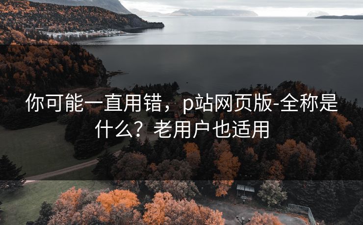 你可能一直用错，p站网页版-全称是什么？老用户也适用